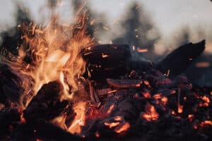 A pile of wood burning with flames and sparks. The fire is surrounded by trees in the background.