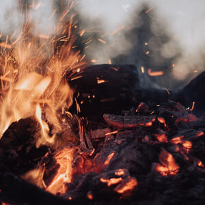 burning firewood in Rochester NY