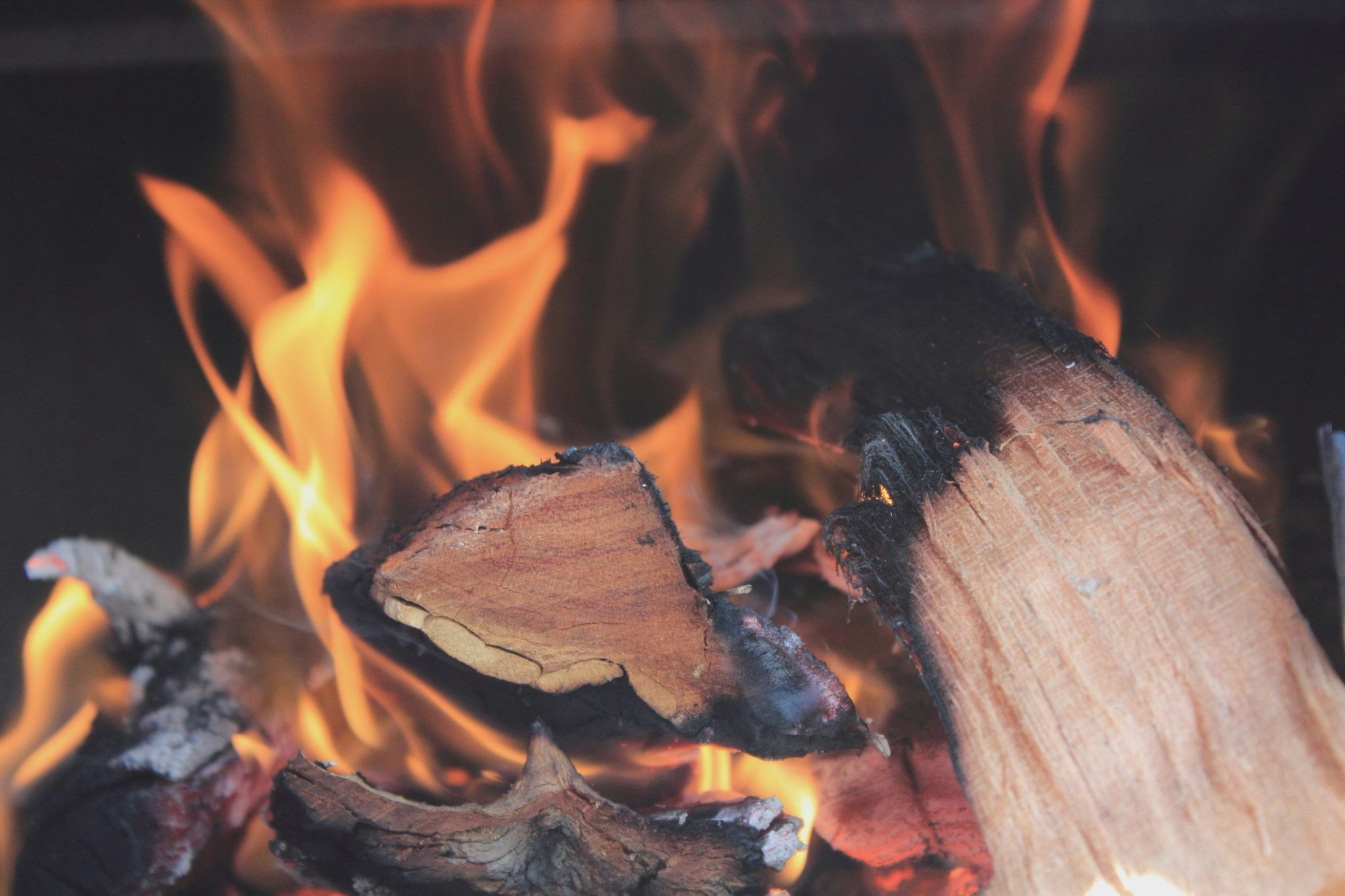 A log burning in a fire. Flames engulfing wood.